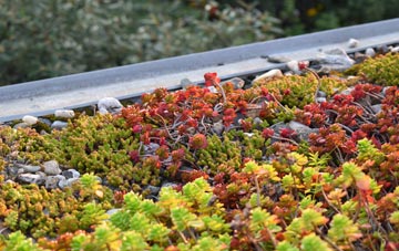 the cost of Arncliffe green roof installation