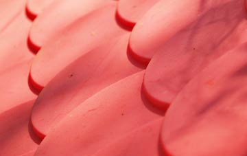 Arncliffe plastic roof costs